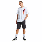 RIPSTOP SHORTS / GREY